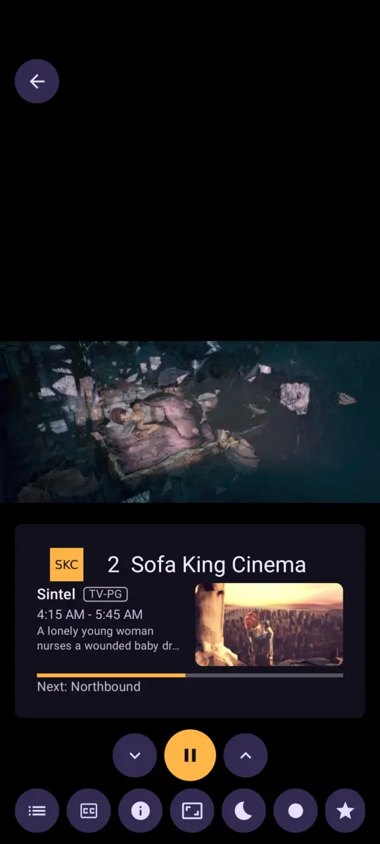 The player on an Android phone with its info bar and buttons