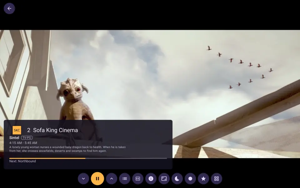 The player on an Android tablet with its info bar and buttons