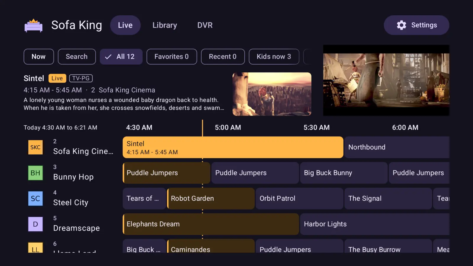 The guide on Android TV: category chips, the focused channel's program beside its muted preview, and a grid of channels over the evening