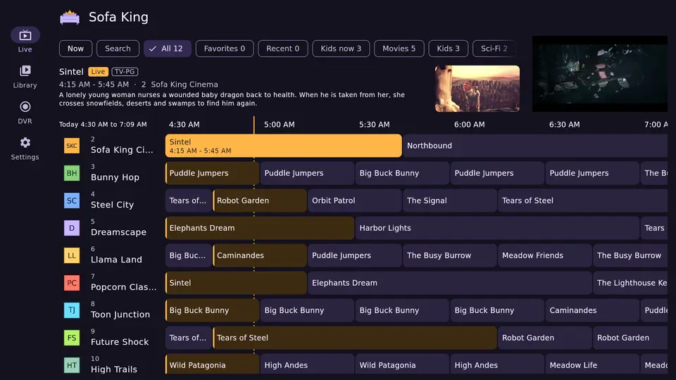 The guide in the desktop app with the focused channel's preview