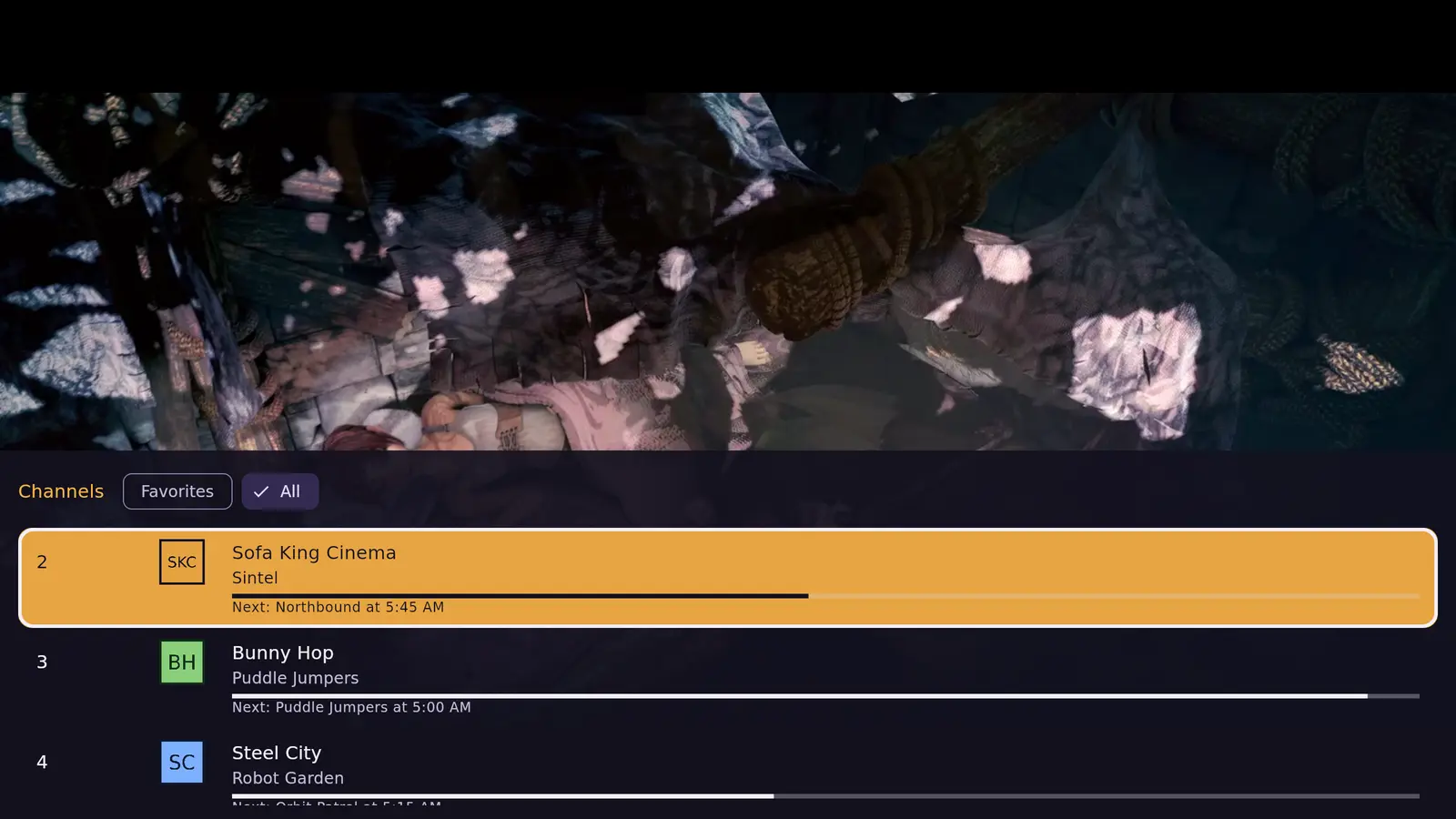 The player in the desktop app: a channel full screen with the info bar showing its number, name, program, rating, time and what is next, over the bar's buttons